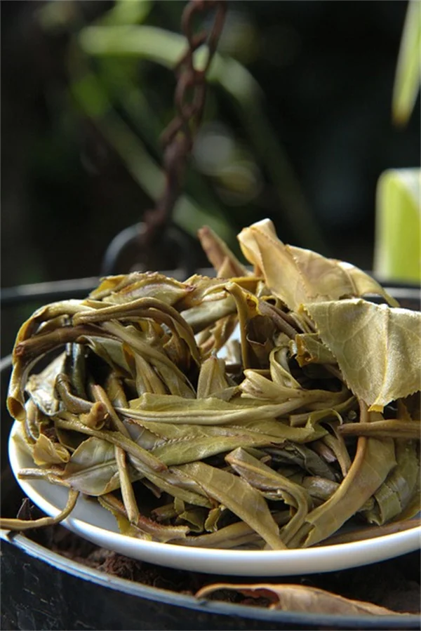 CPR Training Surge After Damar Hamlin's Cardiac Arrest