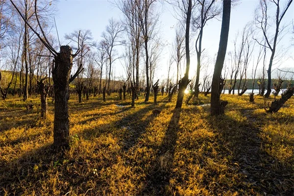 Depression and Breast Cancer: 5 Critical Facts You Need to Know