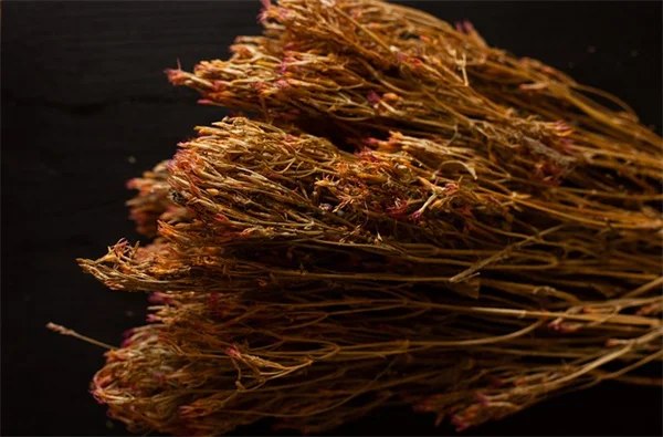 Strength Training for Lower Blood Pressure: 3 Key Benefits Backed by Science