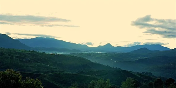 7 Shocking Medications That Secretly Cause Depression (And What to Do)