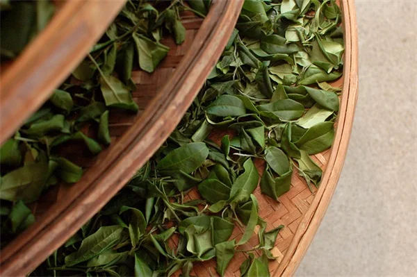 FDA Approves CVS & Walgreens to Offer Abortion Pills: What You Need to Know